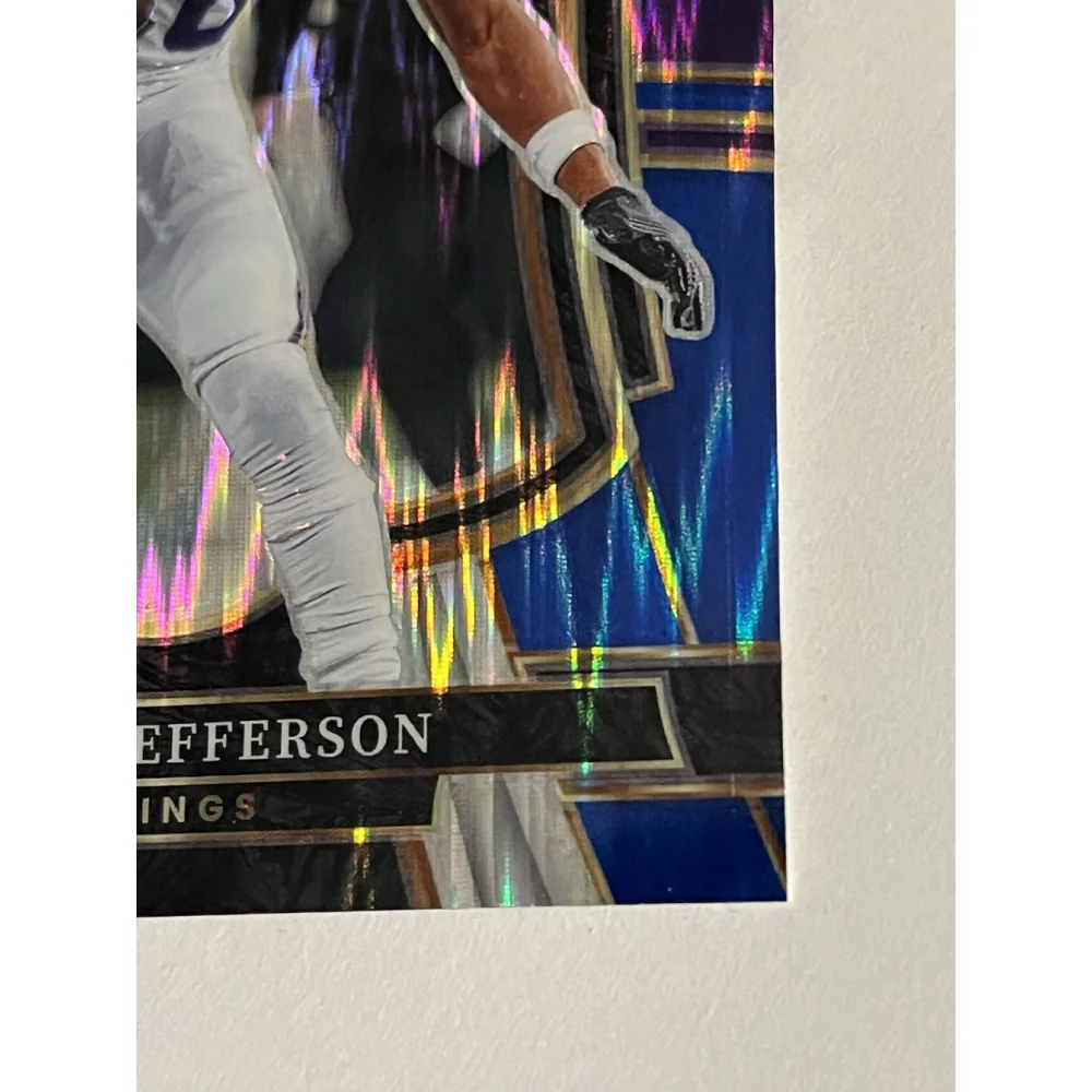 Panini this 2025